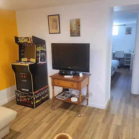 Peaceful Haven With Garden And Pool Apartment Lyon