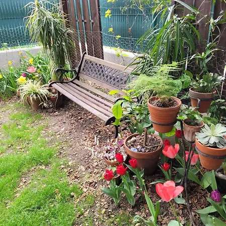 Peaceful Haven With Garden And Pool Apartment Lyon