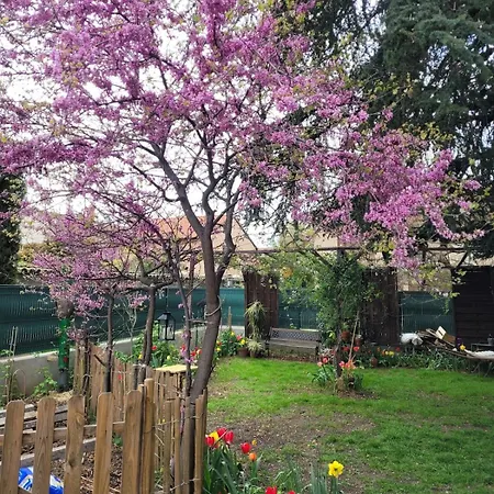Apartment Peaceful Haven With Garden And Pool Lyon